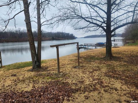 Tiny photo for 10 Womack Road, Galatia, IL 62935 (MLS # QC4261978)