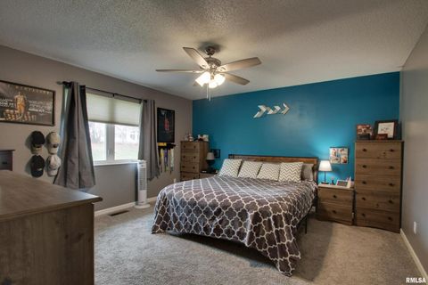 Tiny photo for 3012 BLUFF RIDGE Drive, Quincy, IL 62305 (MLS # QC4269797)