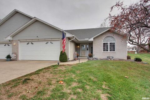 Photo of 3012 BLUFF RIDGE Drive, Quincy, IL 62305 (MLS # QC4269797)