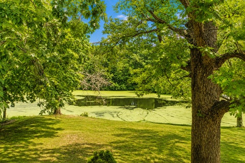 Tiny photo for 6559 Lake Road, Hopedale, IL 61747 (MLS # 12746613)