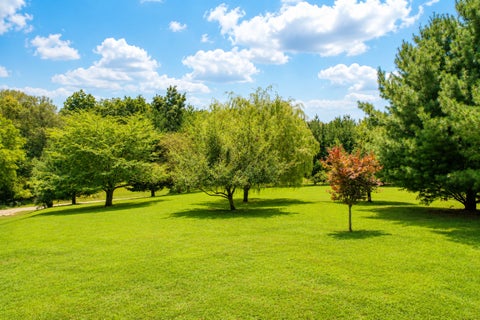 Tiny photo for 6559 Lake Road, Hopedale, IL 61747 (MLS # 12746613)