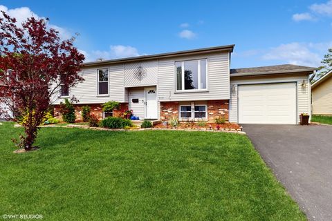 8119 Gatewood Lane Woodridge IL 60517