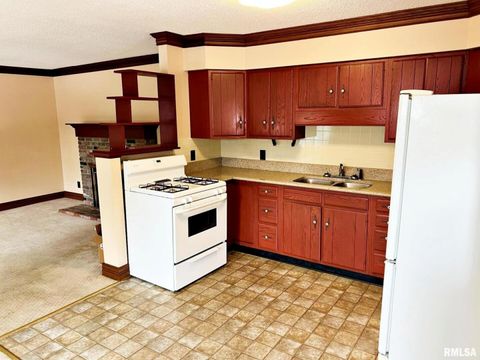 Tiny photo for 500 Metropolis Street, Metropolis, IL 62960 (MLS # 100000507)