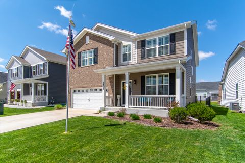 1806 Peyton Terrace Shorewood IL 60404
