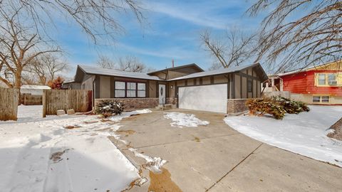 18844 Cedar Court Country Club Hills IL 60478