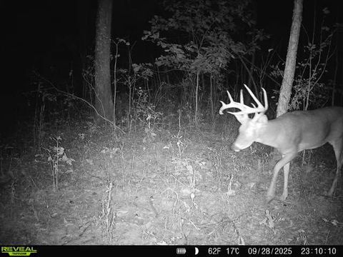 Tiny photo for 1981 Watercress Lane, Flora, IL 62839 (MLS # 12577168)