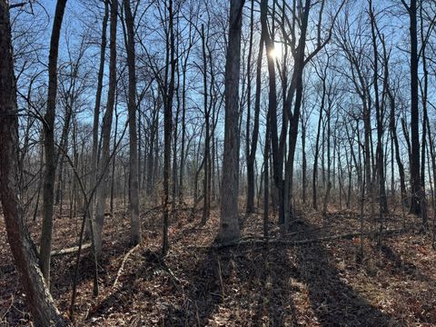 Tiny photo for 1981 Watercress Lane, Flora, IL 62839 (MLS # 12577168)