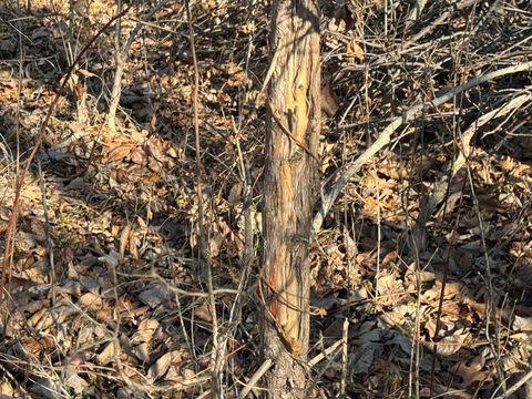 Tiny photo for 1981 Watercress Lane, Flora, IL 62839 (MLS # 12577168)