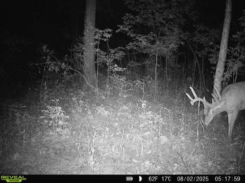 Tiny photo for 1981 Watercress Lane, Flora, IL 62839 (MLS # 12577168)