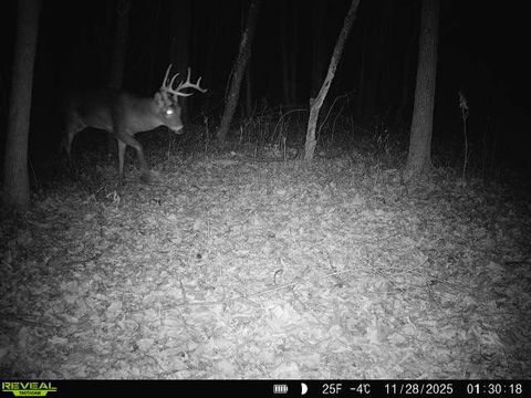 Tiny photo for 1981 Watercress Lane, Flora, IL 62839 (MLS # 12577168)