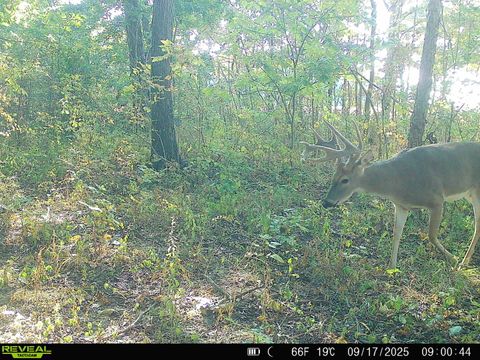 Tiny photo for 1981 Watercress Lane, Flora, IL 62839 (MLS # 12577168)