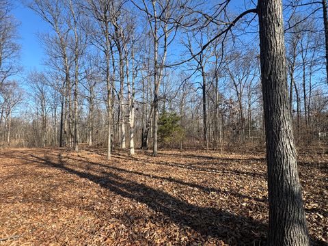 Tiny photo for 1981 Watercress Lane, Flora, IL 62839 (MLS # 12577168)