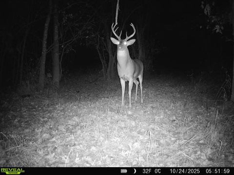 Tiny photo for 1981 Watercress Lane, Flora, IL 62839 (MLS # 12577168)