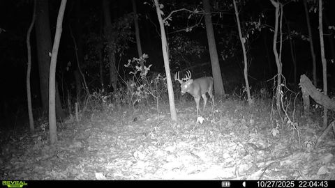 Tiny photo for 1981 Watercress Lane, Flora, IL 62839 (MLS # 12577168)