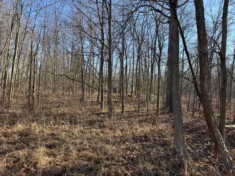 Tiny photo for 1981 Watercress Lane, Flora, IL 62839 (MLS # 12577168)