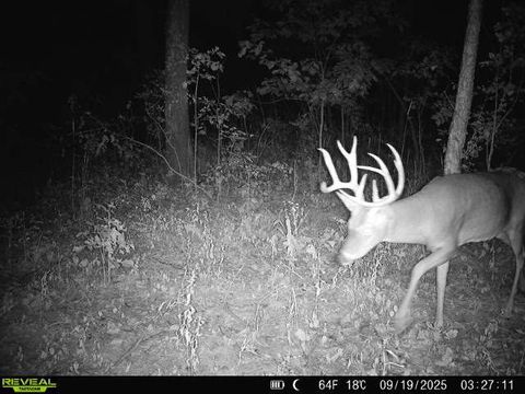 Tiny photo for 1981 Watercress Lane, Flora, IL 62839 (MLS # 12577168)