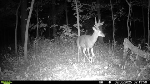 Tiny photo for 1981 Watercress Lane, Flora, IL 62839 (MLS # 12577168)