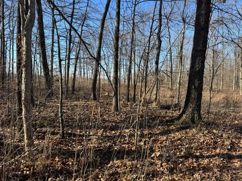 Tiny photo for 1981 Watercress Lane, Flora, IL 62839 (MLS # 12577168)