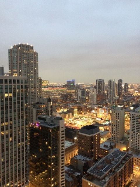 Tiny photo for 25 E Superior Street #3903, Chicago, IL 60611 (MLS # 12576300)