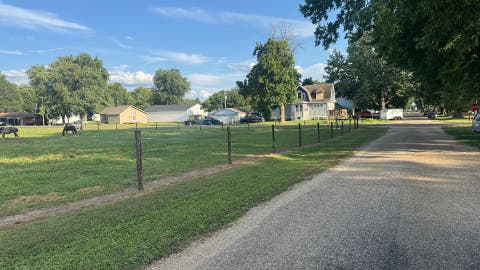 Tiny photo for 313 N Henderson Street, Kenney, IL 61749 (MLS # 12710650)