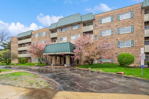 675 Grove Drive 204 Elk Grove Village IL 60007