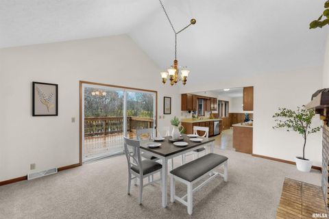 Tiny photo for 209 LAKE VIEW Court, Colona, IL 61241 (MLS # QC4269565)