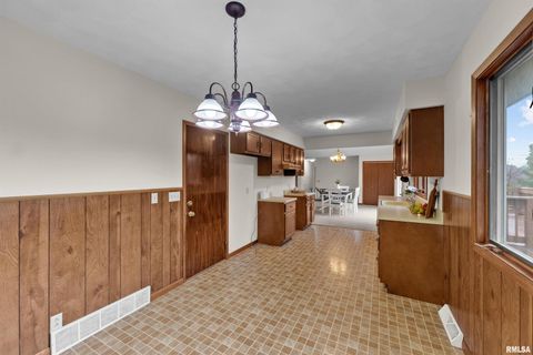 Tiny photo for 209 LAKE VIEW Court, Colona, IL 61241 (MLS # QC4269565)