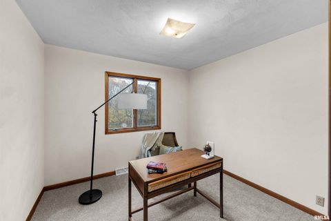 Tiny photo for 209 LAKE VIEW Court, Colona, IL 61241 (MLS # QC4269565)