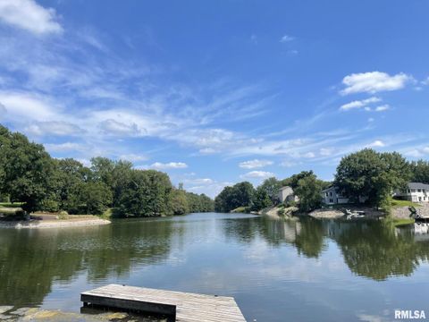 Tiny photo for 209 LAKE VIEW Court, Colona, IL 61241 (MLS # QC4269565)