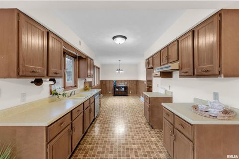 Tiny photo for 209 LAKE VIEW Court, Colona, IL 61241 (MLS # QC4269565)