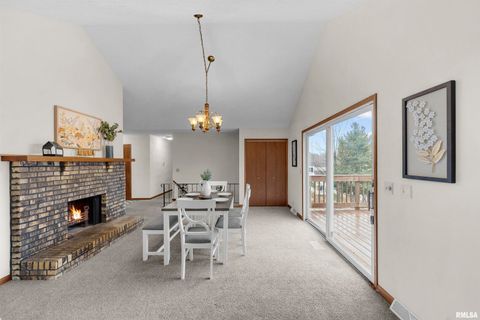 Tiny photo for 209 LAKE VIEW Court, Colona, IL 61241 (MLS # QC4269565)