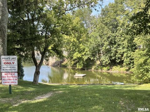 Tiny photo for 209 LAKE VIEW Court, Colona, IL 61241 (MLS # QC4269565)