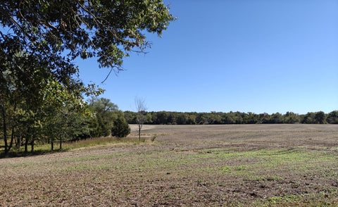 Tiny photo for 12268 Saraville Road, Marion, IL 62959 (MLS # 12756820)