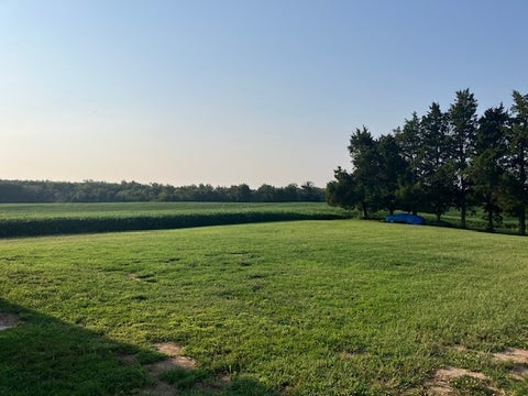 Tiny photo for 12268 Saraville Road, Marion, IL 62959 (MLS # 12756820)