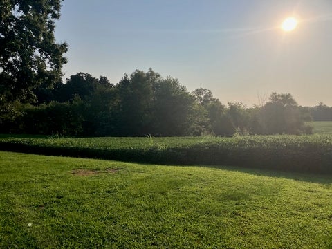 Tiny photo for 12268 Saraville Road, Marion, IL 62959 (MLS # 12756820)