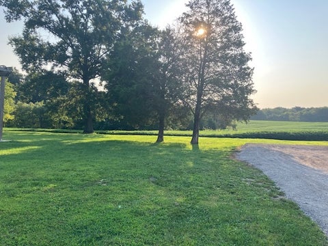 Tiny photo for 12268 Saraville Road, Marion, IL 62959 (MLS # 12756820)