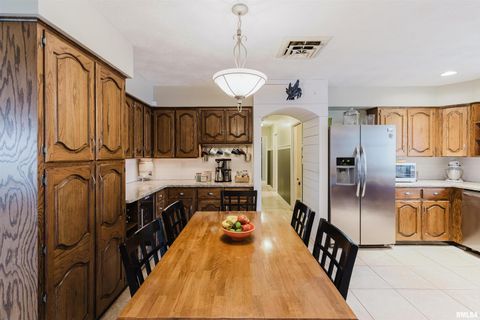 Tiny photo for 1502 NAGEL Drive, Marion, IL 62959 (MLS # QC4269704)