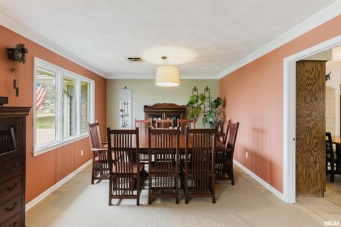 Tiny photo for 1502 NAGEL Drive, Marion, IL 62959 (MLS # QC4269704)