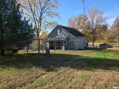 Tiny photo for 205 S 2ND Street, Dahlgren, IL 62812 (MLS # EB460473)