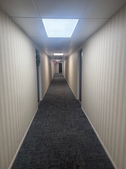 203 N Kenilworth Avenue 2A