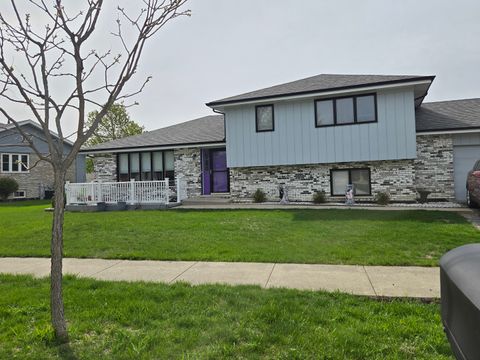 8919 Meadowview Drive Orland Hills IL 60487