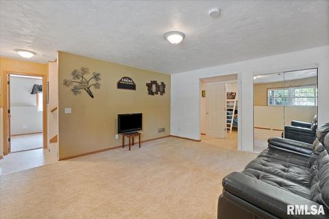 Tiny photo for 525 3RD Avenue, Hampton, IL 61256 (MLS # QC4268044)