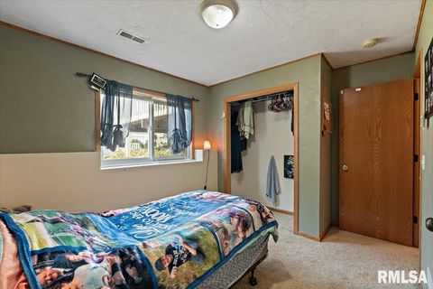 Tiny photo for 525 3RD Avenue, Hampton, IL 61256 (MLS # QC4268044)