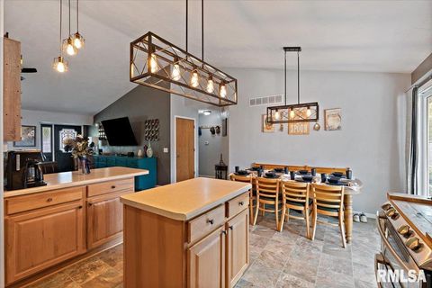 Tiny photo for 525 3RD Avenue, Hampton, IL 61256 (MLS # QC4268044)