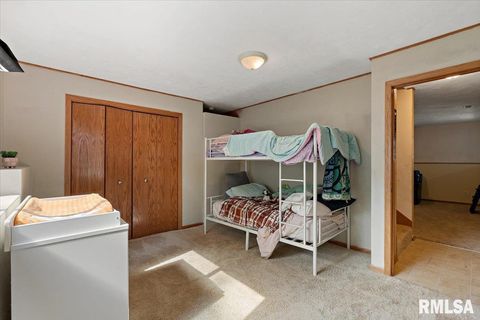 Tiny photo for 525 3RD Avenue, Hampton, IL 61256 (MLS # QC4268044)