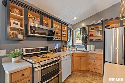 Tiny photo for 525 3RD Avenue, Hampton, IL 61256 (MLS # QC4268044)