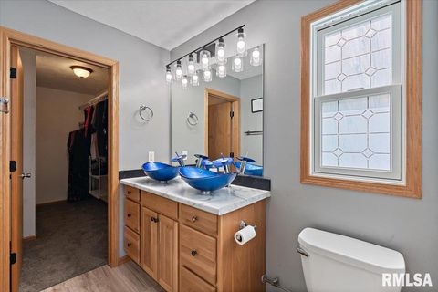 Tiny photo for 525 3RD Avenue, Hampton, IL 61256 (MLS # QC4268044)