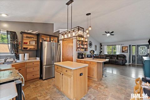 Tiny photo for 525 3RD Avenue, Hampton, IL 61256 (MLS # QC4268044)