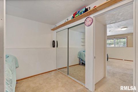 Tiny photo for 525 3RD Avenue, Hampton, IL 61256 (MLS # QC4268044)