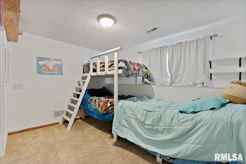 Tiny photo for 525 3RD Avenue, Hampton, IL 61256 (MLS # QC4268044)